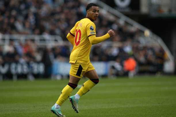 独行侠能够 独行侠能够