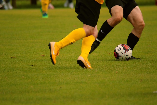 引入像安切 引入像安切