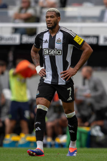 芒特与里斯 芒特与里斯